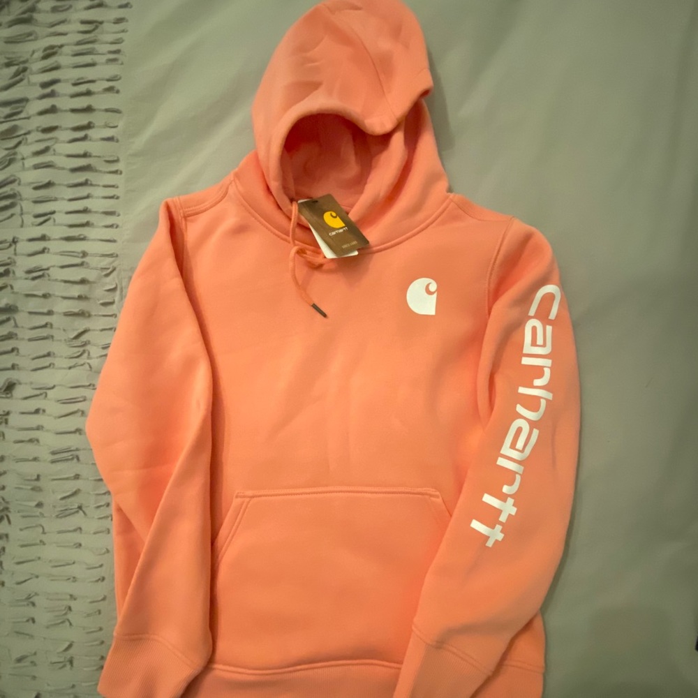 Women's Carhartt Clarksburg Graphic Sleeve Hoodie took tags off never worn tho